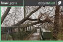 Devon County Highways image of tree fallen across bridge