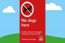 Dog restrictions  on Exmouth