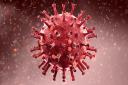 Coronavirus Picture: Getty Images