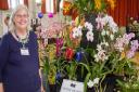 Nicky Wakley, chairman of The Devon Orchid Society at the Budleigh Orchid show. Ref exb 20-17TI 2953. Picture: Terry Ife