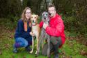 ARC staff with lurchers Romeo and Julie. Ref shs 49 18TI 6328. Picture: Terry Ife