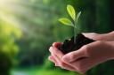 Demonstrating green credentials can attract environment-aware customers