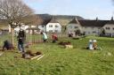 Community tree planting - one of the ways Sidmouth can help reduce the effects of climate change
