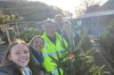 Clevedon school raises hundreds for foodbank with tree sale