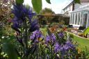 Gardens like this one will be opened to the public to raise money for Sidmouth in Bloom