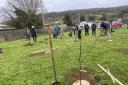 Planting trees for the new community 'food forest' in Sidmouth