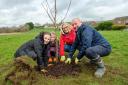 National Grid new green spaces fund.