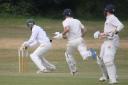 Sidmouth wicketkeeper Robbie Powell removes the bails as Dan Pyle is run out