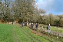 Volunteers planting the new hedgerow