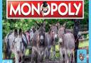The Donkey Sanctuary Monopoly. Picture: The Donkey Sanctuary