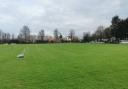 Mountbatten Park on Boxing Day