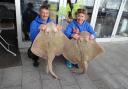 Blonde Rays caught in the Torbay Festival
