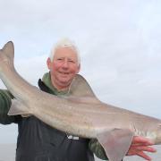 Pete Gregory with a Double figure Smoothhound