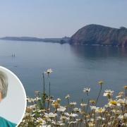 Councillor Marianne Rixson, East Devon District Council's portfolio holder for climate action and emergency response, against the backdrop of East Devon.
