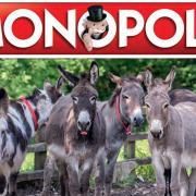 The Donkey Sanctuary Monopoly. Picture: The Donkey Sanctuary