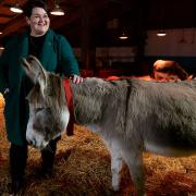 Former BBC Radio Bristol presenter Emma Britton at The Donkey Sanctuary