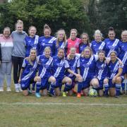 Ottery St Mary Ladies
