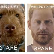 The cover of Prince Harry's book, and Toto's take on it