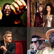 Courtney Pine, Brand New Heavies, Curtis Stigers and Mud Morganfield will perform at this year's Jazz and Blues Festival