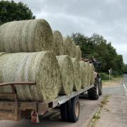 Unsecured hay bales on the trailer