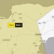 Met Office issue yellow weather warning for wind to East Devon