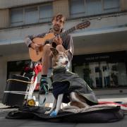 The Dog And The Guitar Player