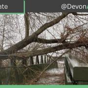 Devon County Highways image of tree fallen across bridge