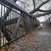The tree lying across the damaged Coleridge Bridge