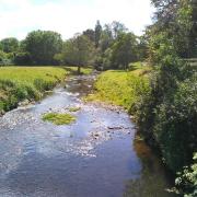The River Sid at Fortrescue.