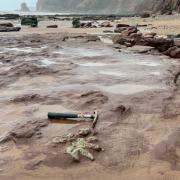 The dinosaur footprint on Sidmouth beach, February 2024
