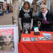 Campaigners at their information stall in Sidmouth