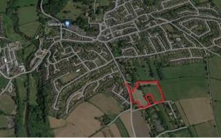 The proposed site off Sidmouth Road, Ottery St Mary, for the controversial housing development