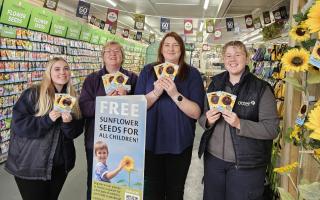 Members of the Otter Garden Centres team ready to give out sunflower seeds